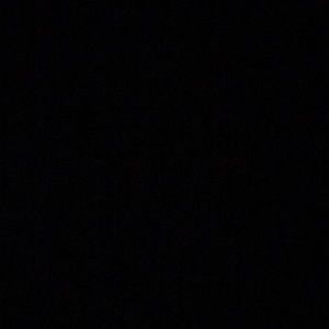 Meet your Posher, Natasha